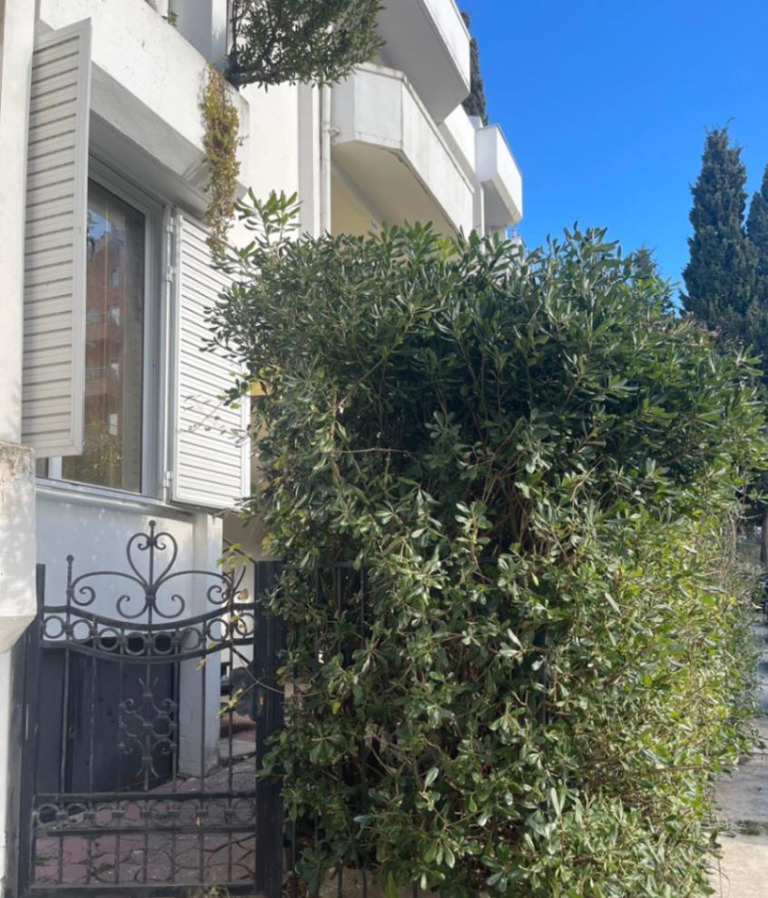 Stan na dan,  stan, 60m2, Rafailovići, Budva