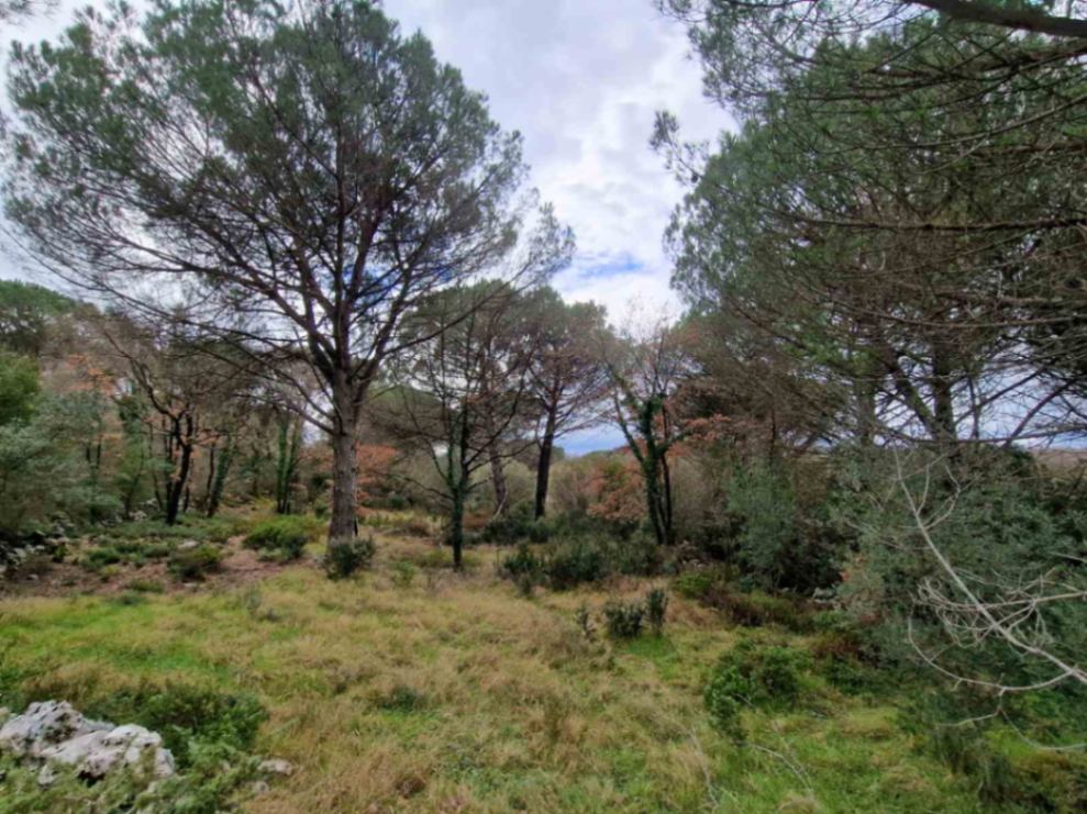  Land Lot for Sale, 1150m2, Zagora, Kotor