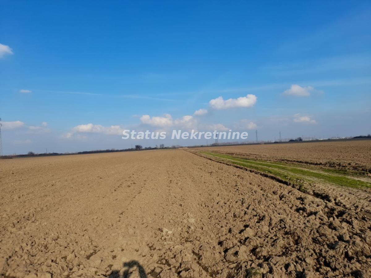 Prodaja, zemljište, 21500m2, Futog, Novi Sad, Novi Sad Prodaja, zemljište, 21500m2, Futog, Novi Sad, Novi Sad