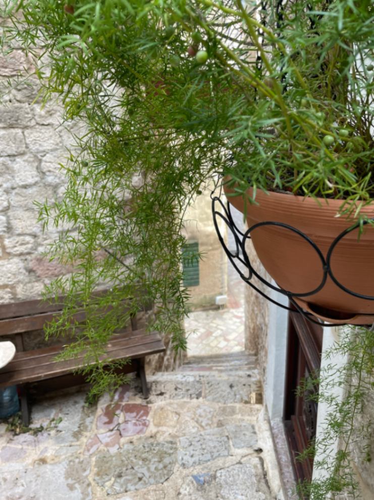 Prodaja, dvosoban stan, 38m2, Stari Grad Kotor, Kotor