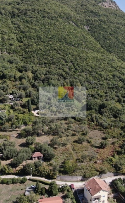 Land Lot for Sale, 1200m2, Herceg Novi Land Lot for Sale, 1200m2, Herceg Novi