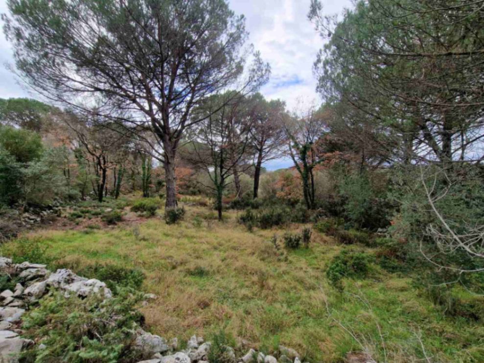 Land Lot for Sale, 1150m2, Zagora, Kotor