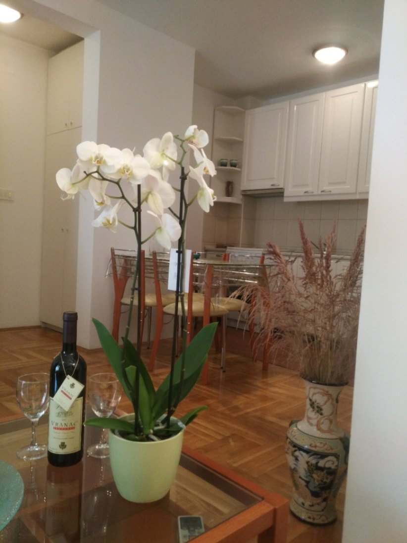 Prodaja, jednosoban stan, 49m2, Slovenska Plaža, Budva