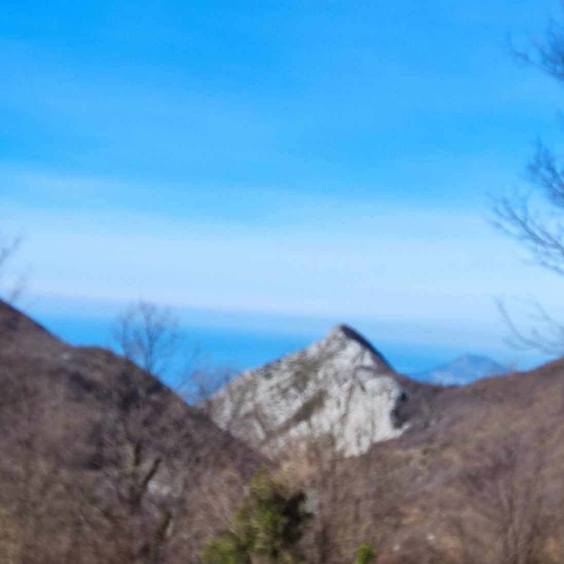 Prodaja,  zemljište, 4451m2, Mikulići, Bar