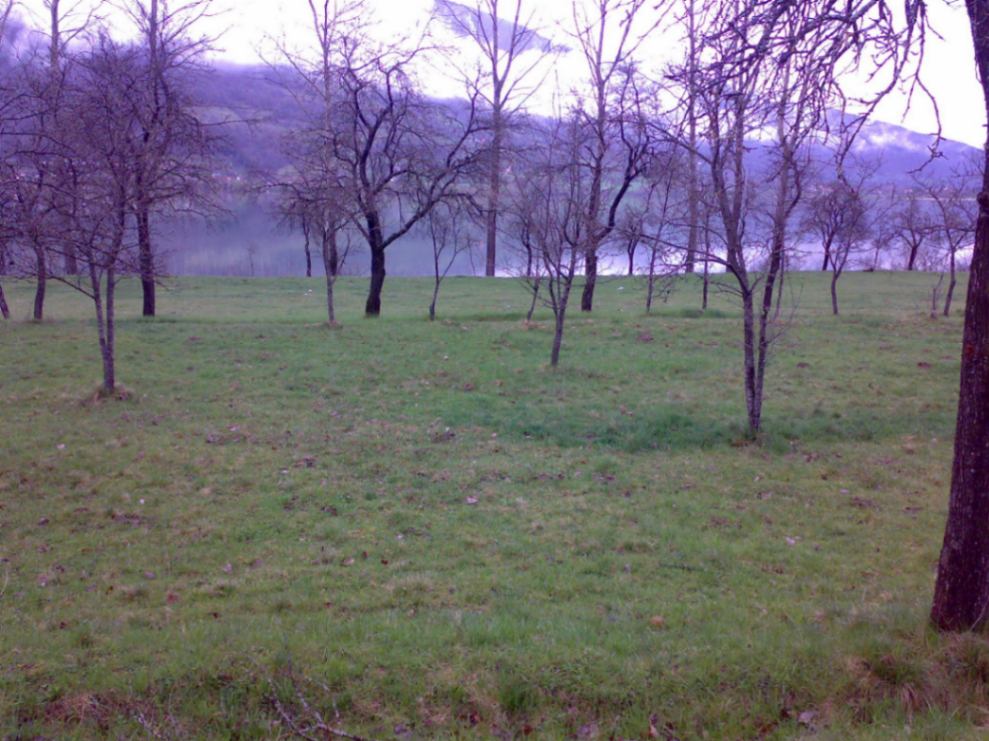 Prodaja,  zemljište, 1750m2, Vojno Selo, Plav