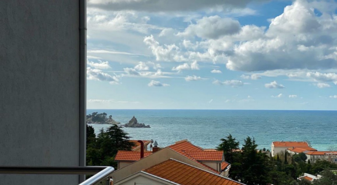 Prodaja, jednosoban stan, 46m2, Centar, Petrovac Prodaja, jednosoban stan, 46m2, Centar, Petrovac