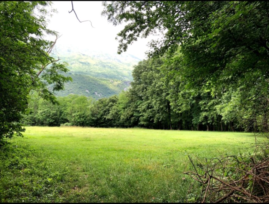 Prodaja, zemljište, 4870m2, Orja Luka, Danilovgrad Prodaja, zemljište, 4870m2, Orja Luka, Danilovgrad