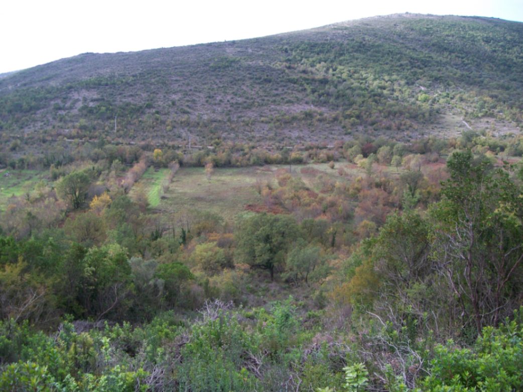 Land Lot for Sale, 2397m2, Kotor Land Lot for Sale, 2397m2, Kotor