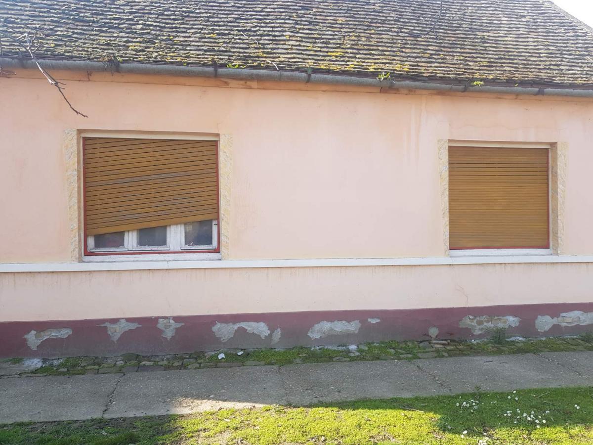 Land Lot for Sale, 1300m2, Žabalj Land Lot for Sale, 1300m2, Žabalj