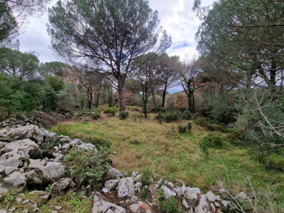  Land Lot for Sale, 1150m2, Zagora, Kotor