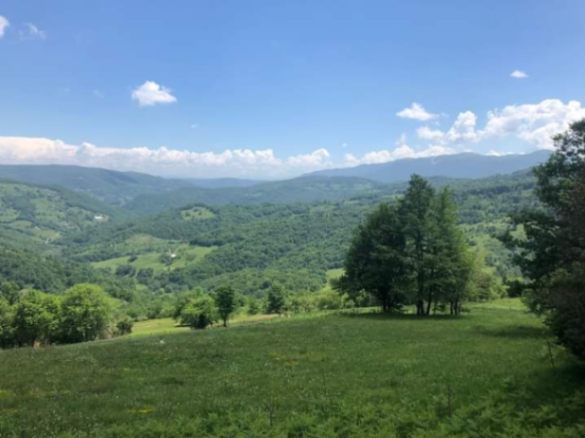 Prodaja, zemljište, 160000m2, Mojkovac Prodaja, zemljište, 160000m2, Mojkovac