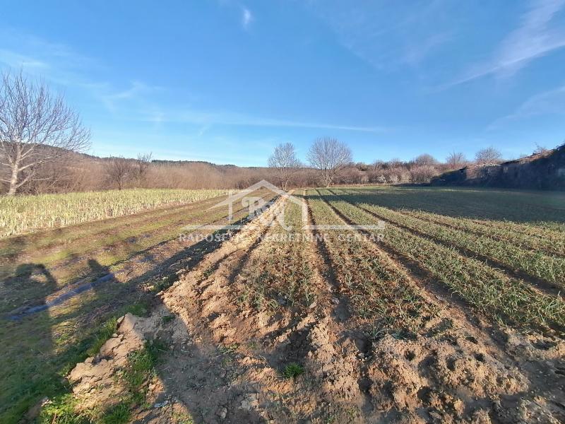 Land Lot for Sale, 1000m2, Višnjica, Palilula, Beograd Land Lot for Sale, 1000m2, Višnjica, Palilula, Beograd