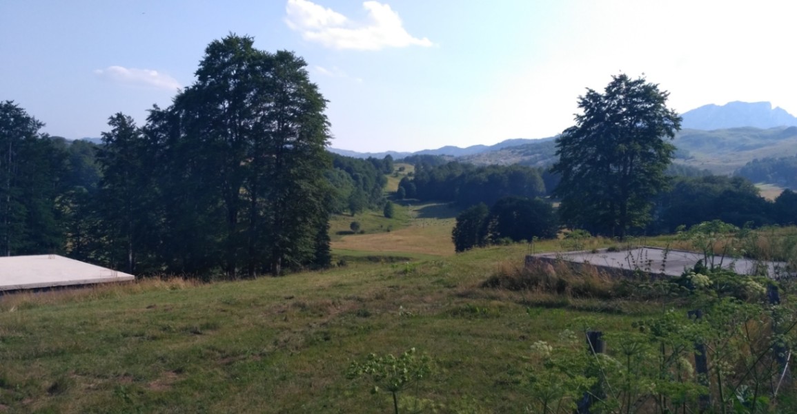 Prodaja, zemljište, 400m2, Pašina Voda, Žabljak Prodaja, zemljište, 400m2, Pašina Voda, Žabljak