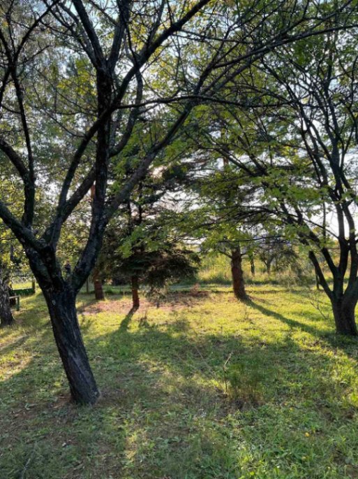 Prodaja,  zemljište, 1400m2, Banja Vrdnik, Irig