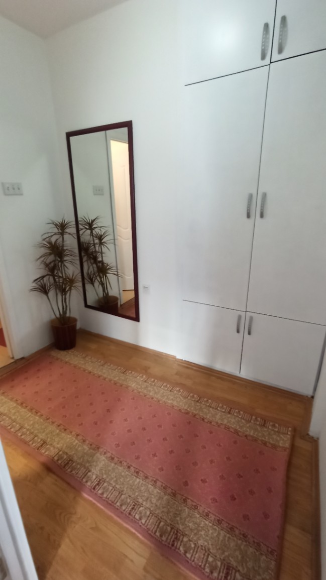 Izdavanje, jednosoban stan, 45m2, Preko Morače, Podgorica