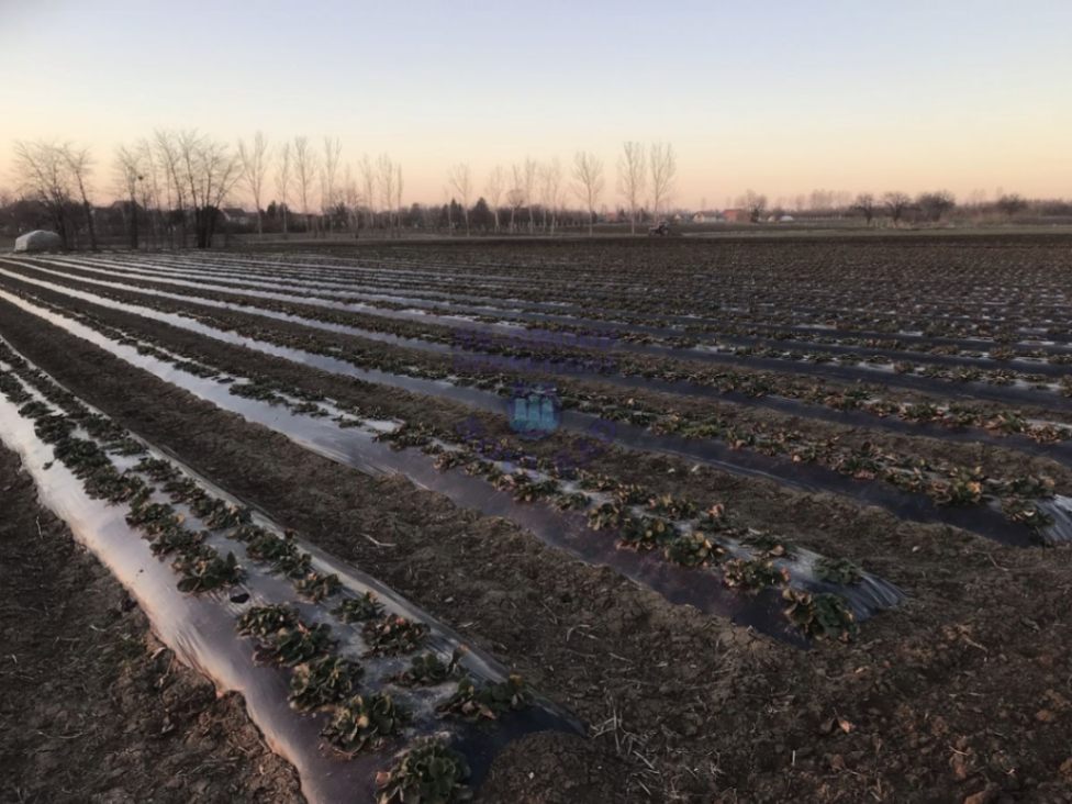 Land Lot for Sale, 2208m2, Novi Sad Estitor