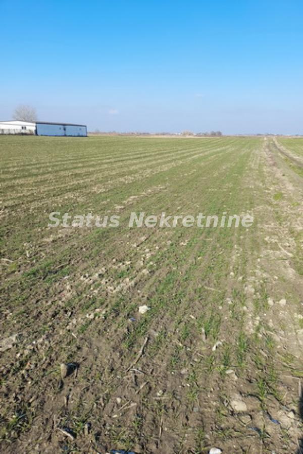 Prodaja, zemljište, 2500m2, Futog, Novi Sad, Novi Sad Prodaja, zemljište, 2500m2, Futog, Novi Sad, Novi Sad