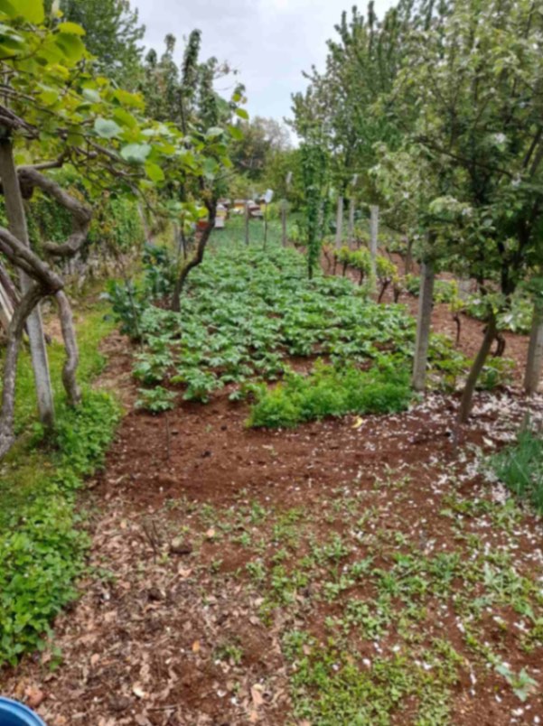 Land Lot for Sale, 300m2, Mokrine, Herceg Novi Estitor