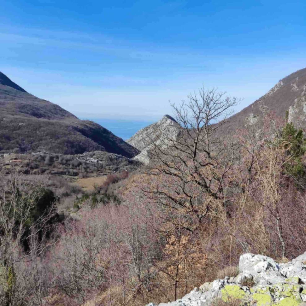 Prodaja,  zemljište, 4451m2, Mikulići, Bar
