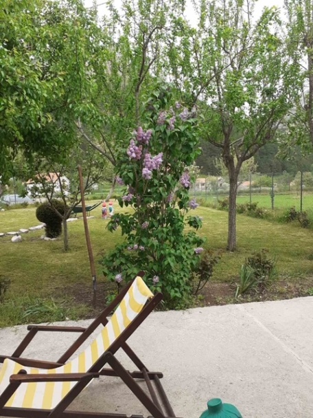 Prodaja,  kuća, 50m2, Njeguši, Cetinje